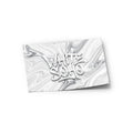 White Soho Strain Labels - Strain Labels
